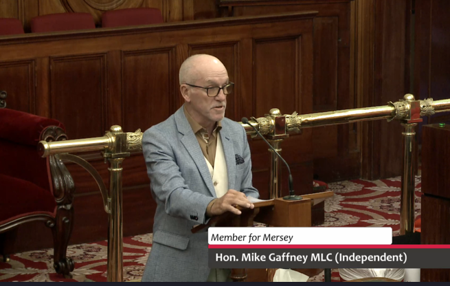 Hon. Mike Gaffney